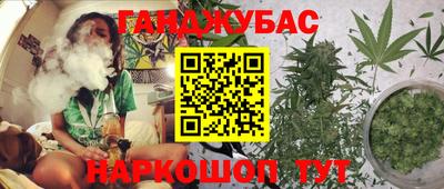 гашик Кунгур