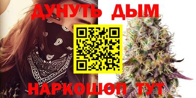 гашик Кунгур