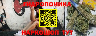 гашик Кунгур
