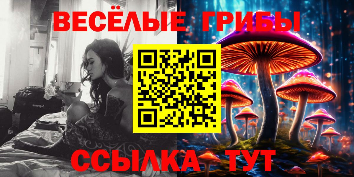 Жигулёвск  Псилоцибиновые грибы Psilocybe  Вход с VPN  Псилоцибиновые грибы прущие грибы 